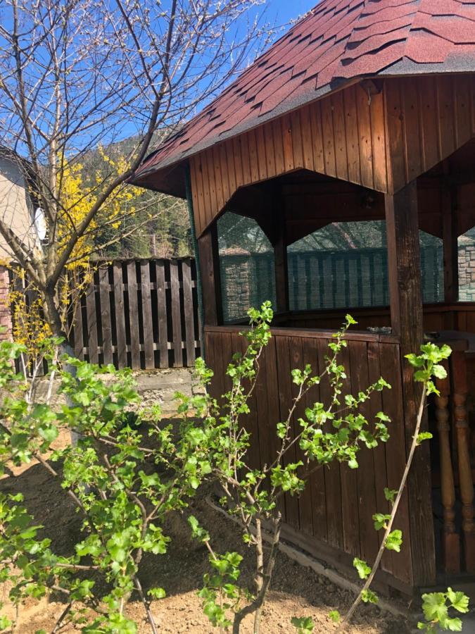 Садиба Диво Квітка Tatariv Exterior foto