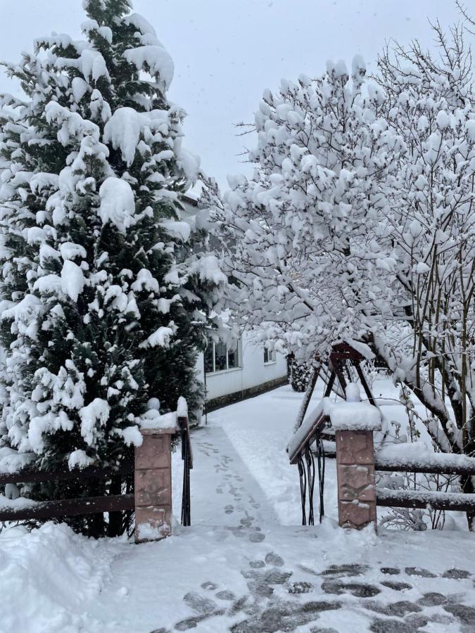 Садиба Диво Квітка Tatariv Exterior foto